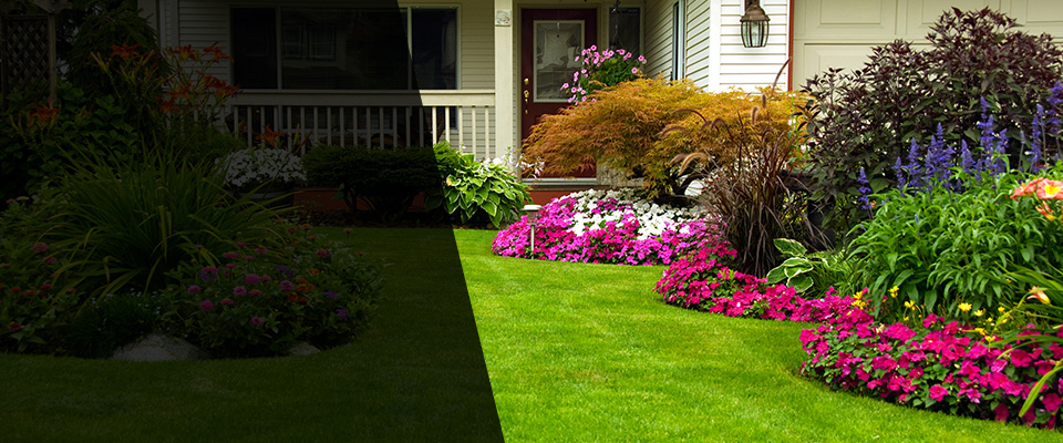 Herman Landscapers