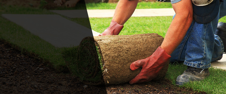 Herman Landscapers